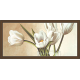 Floral Art Paintings (FH-735)